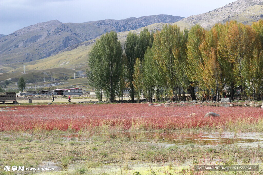 秋日原野多彩风光