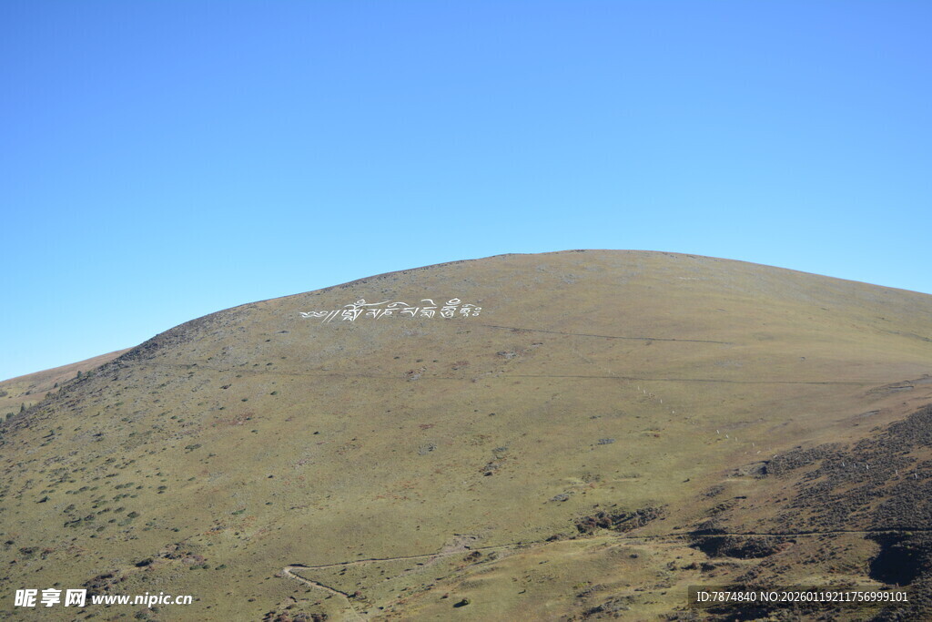 蓝天映衬下的绿色山丘