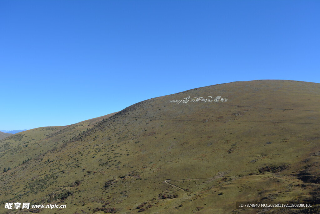 蓝天映衬下的绿色山丘
