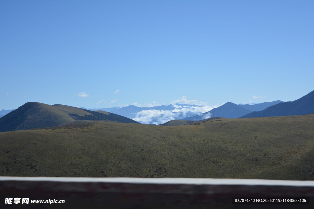 远山雪景与葱郁草地