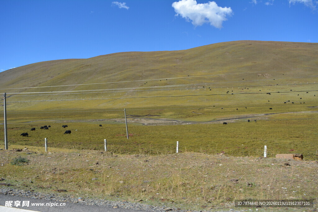 草原风光 远处牛羊点缀