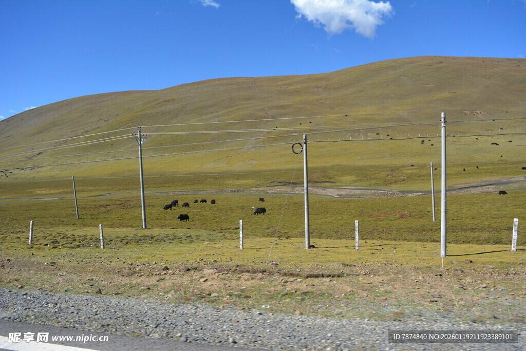 草原风光与路旁电线设施