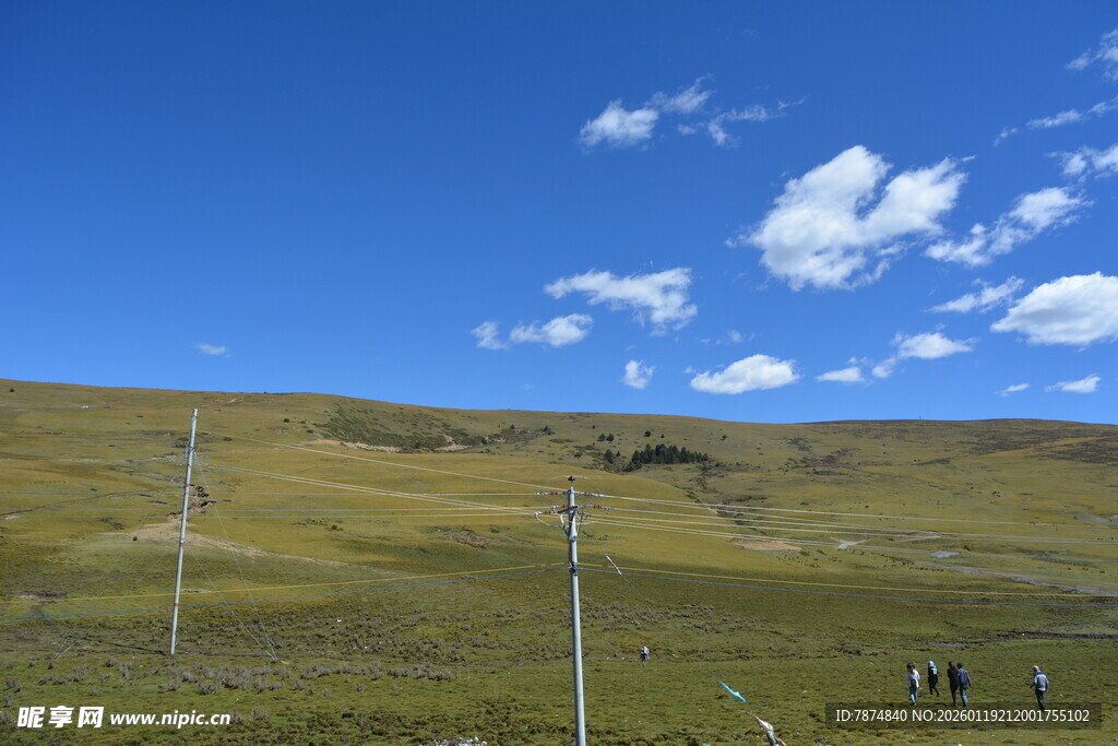 草原风光与电力设施