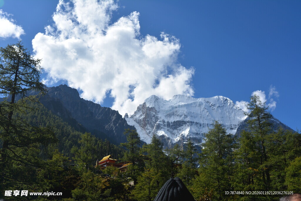 雪山森林间的壮丽景致