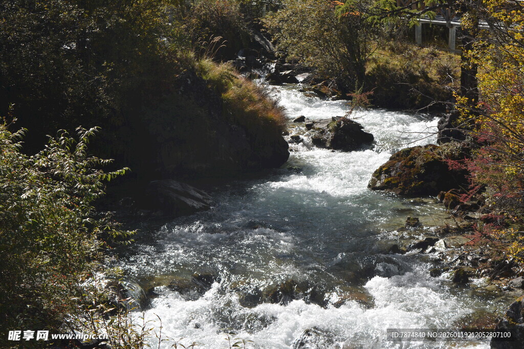 山间溪流潺潺流淌