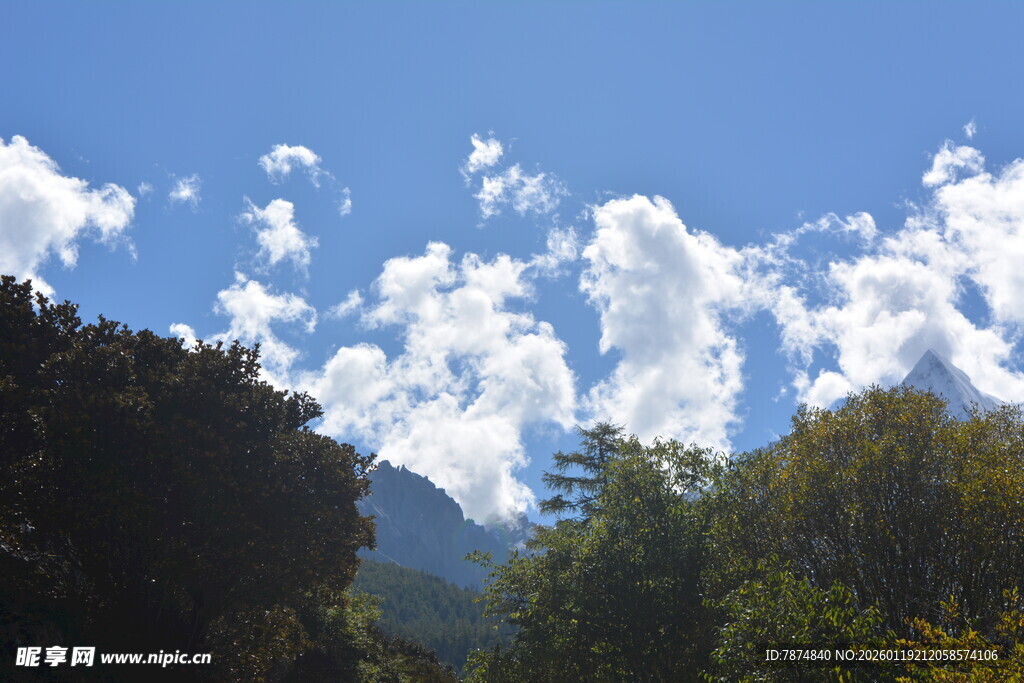 蓝天白云下的山林景致