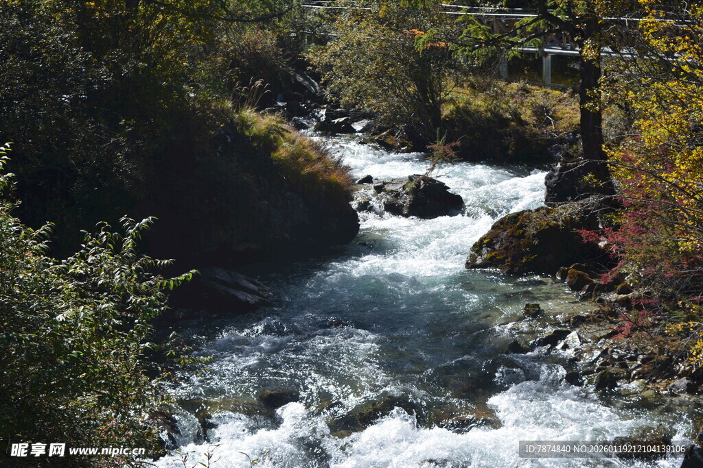 山间溪流潺潺 秋色相伴