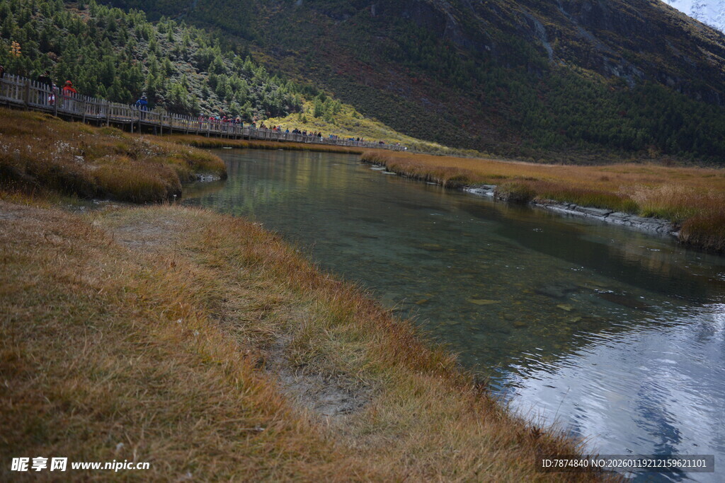 山间清澈小河畔的景致