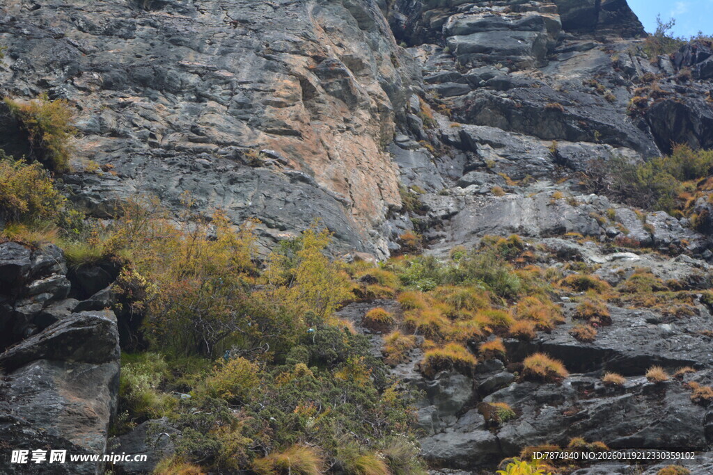陡峭山壁上的零星植被