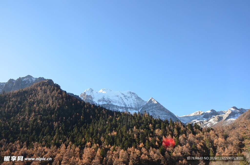 秋日山林与远处雪山美景