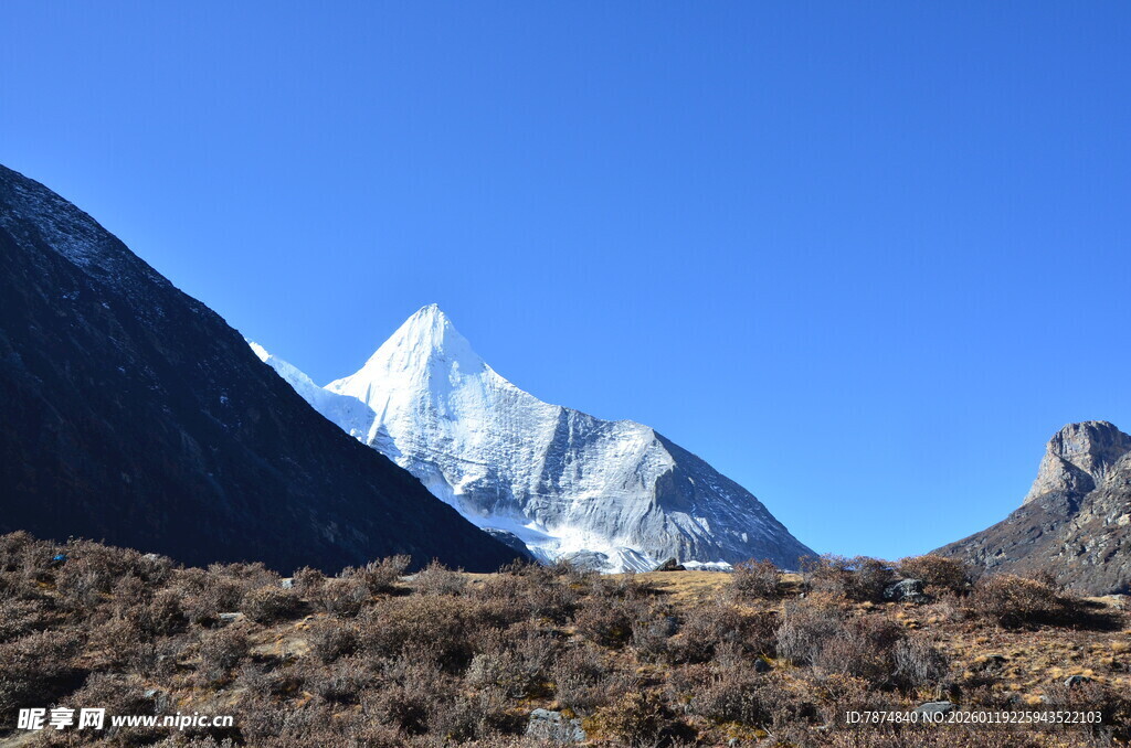 巍峨雪山下的荒野景观