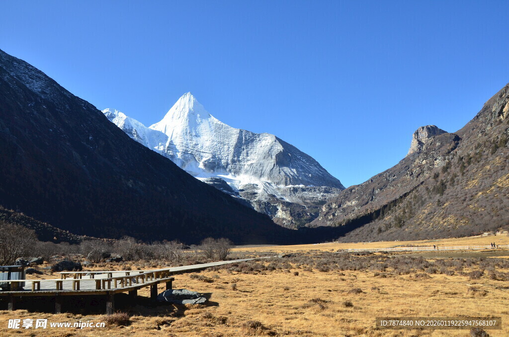 壮丽雪山下的开阔景致