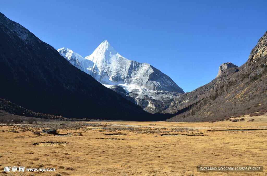 壮丽雪山下的广袤荒原