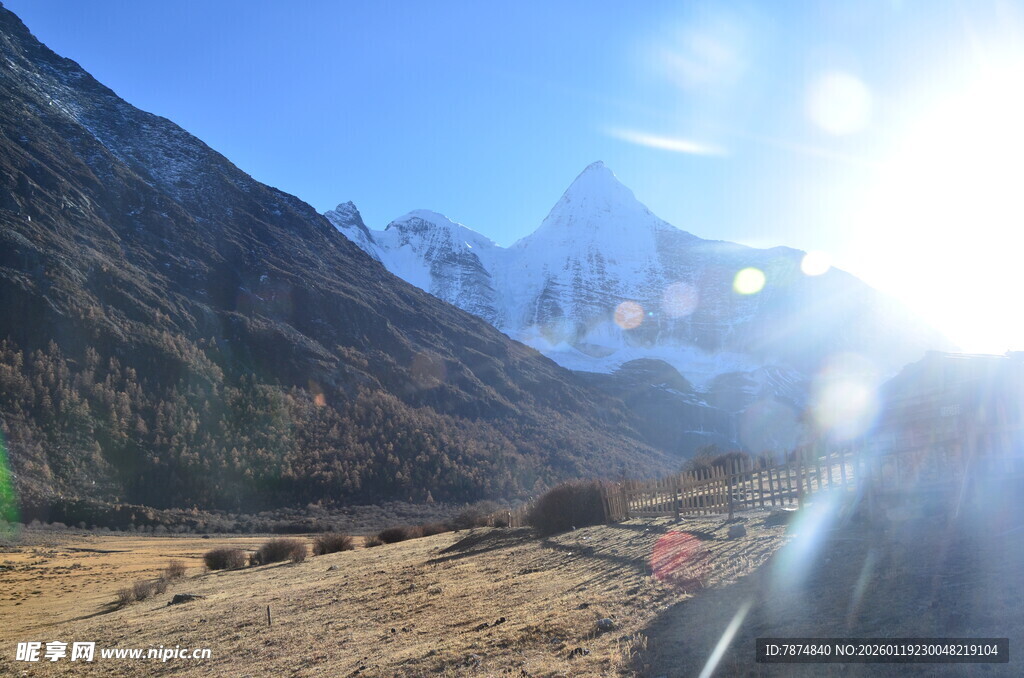 壮丽雪山下的开阔原野