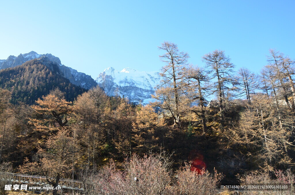 秋日山林中的壮丽雪山景色
