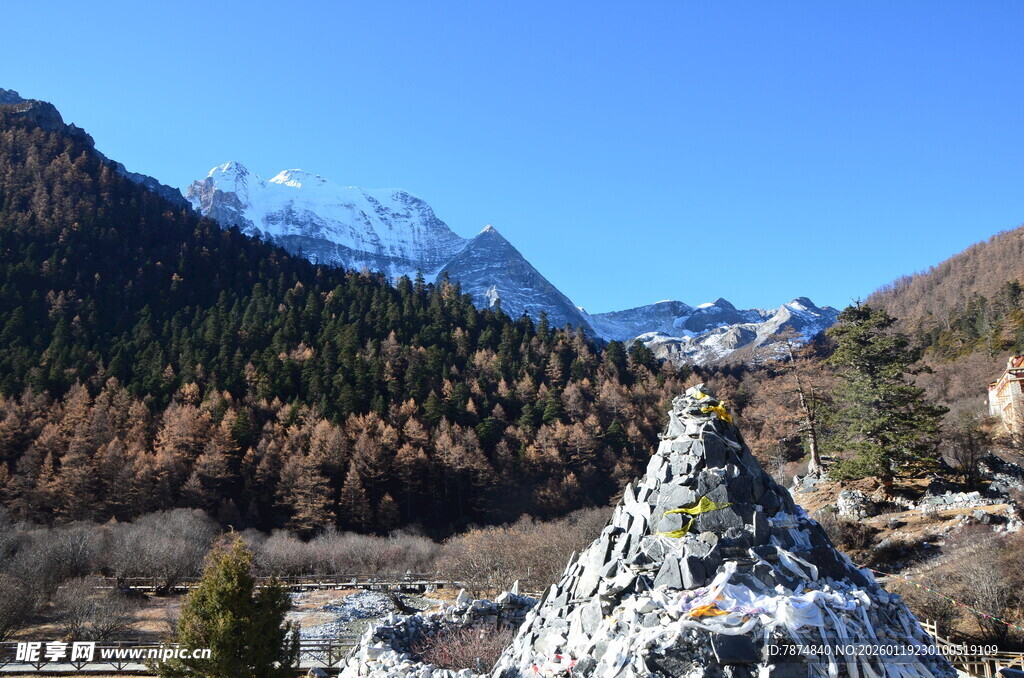雪山下的多彩山林景观