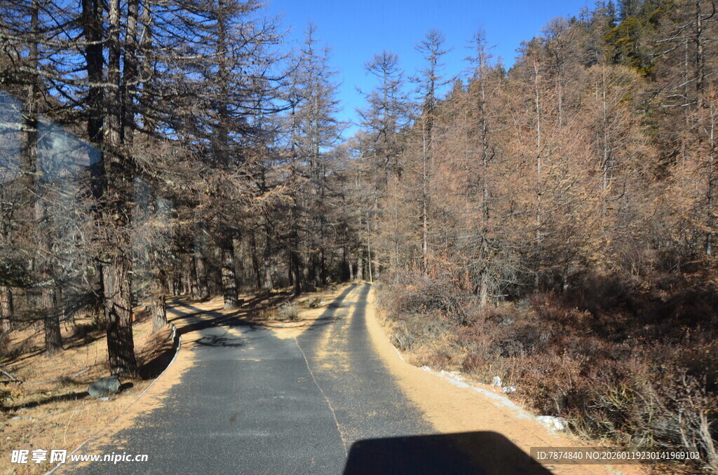 山间公路 冬日萧瑟景致