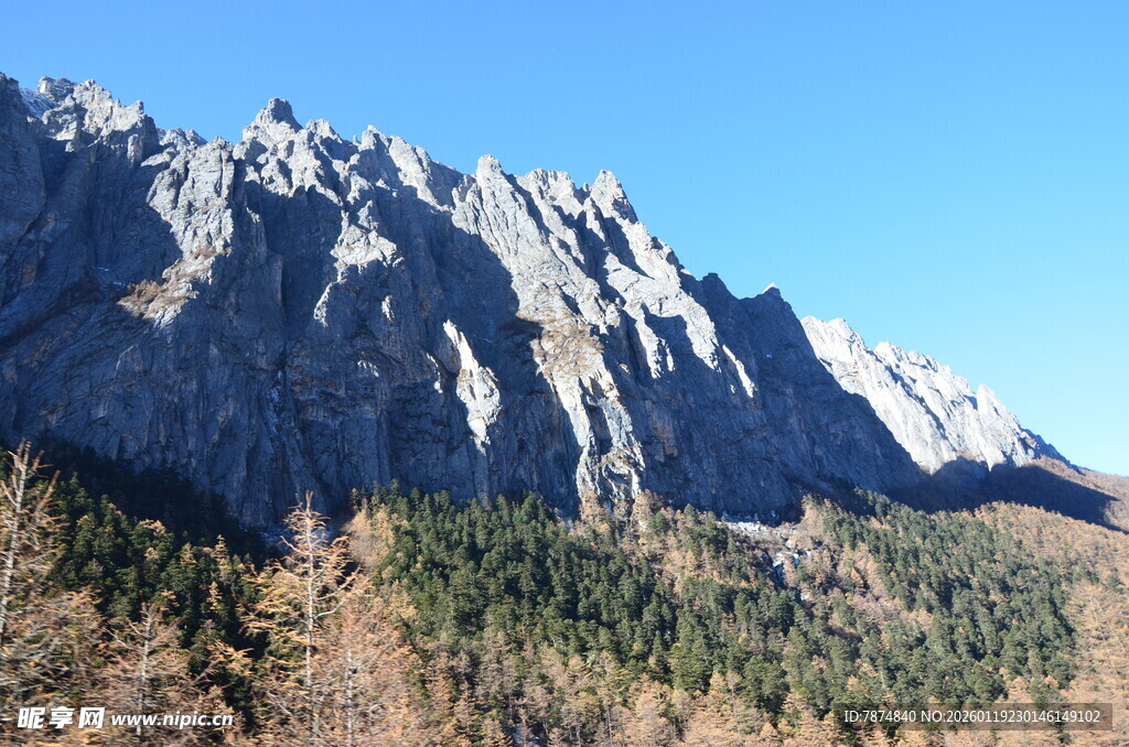 巍峨山峦与葱郁林木景观