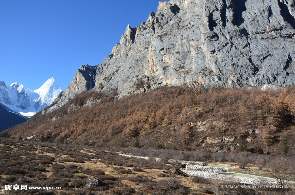壮丽山景下的开阔地貌