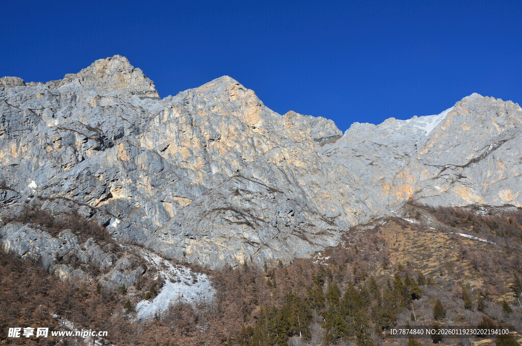 壮丽山景与稀疏林木