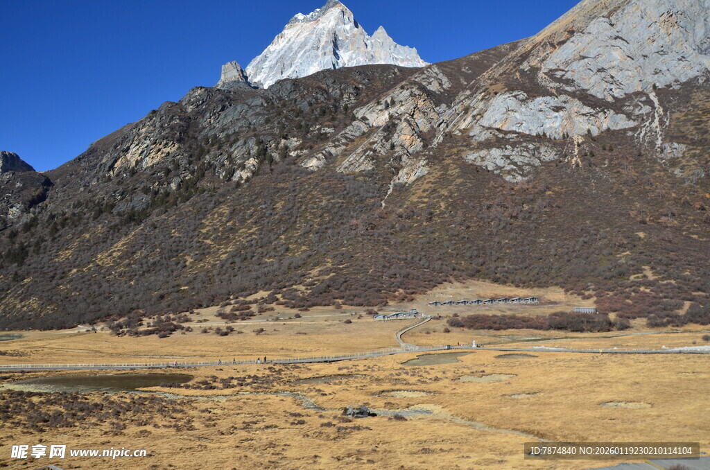 雪山下的广袤原野