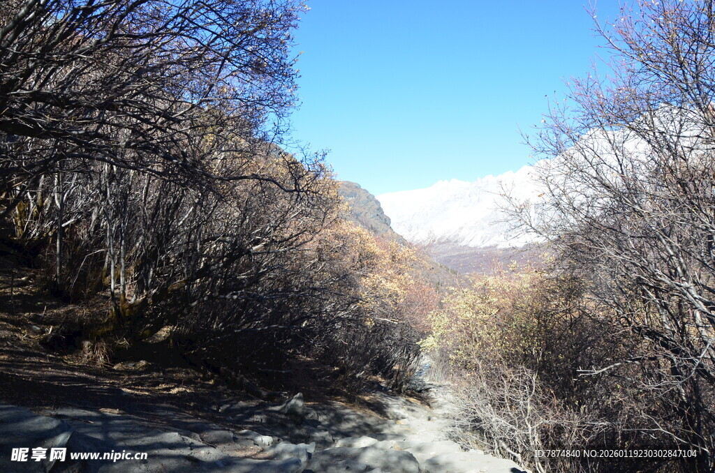 山间溪流冬日景致