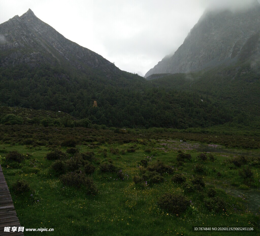 云雾缭绕的山间草地景观