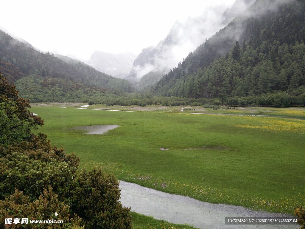 山间绿野溪流美景