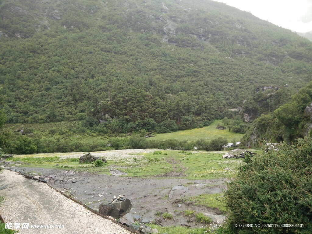 山间绿野 静谧自然之景