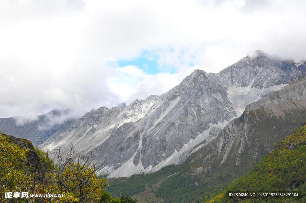 壮丽雪山与葱郁山林景观