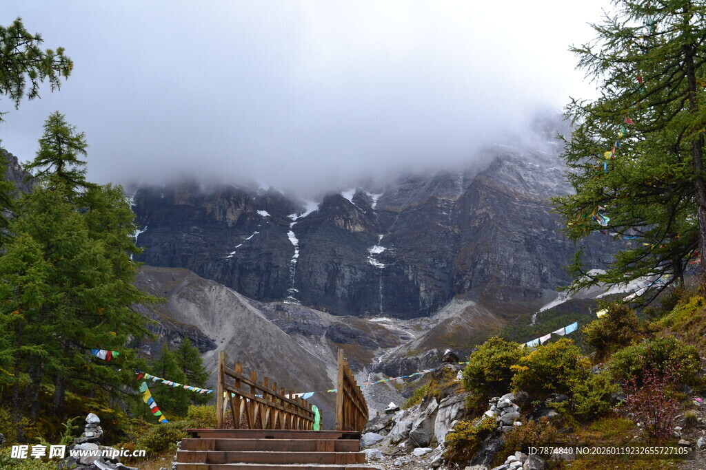 山间云雾缭绕的木质步道