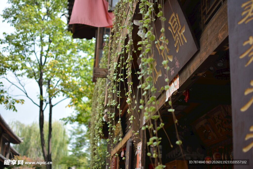 古街绿植垂挂的中式建筑