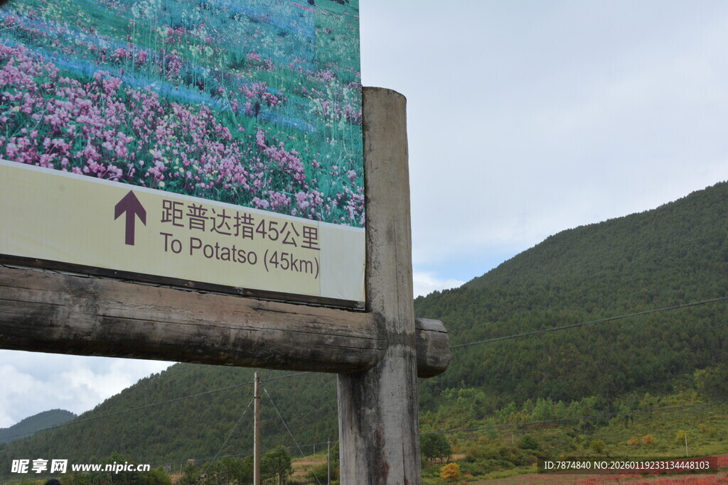 高山杜鹃观赏指示牌