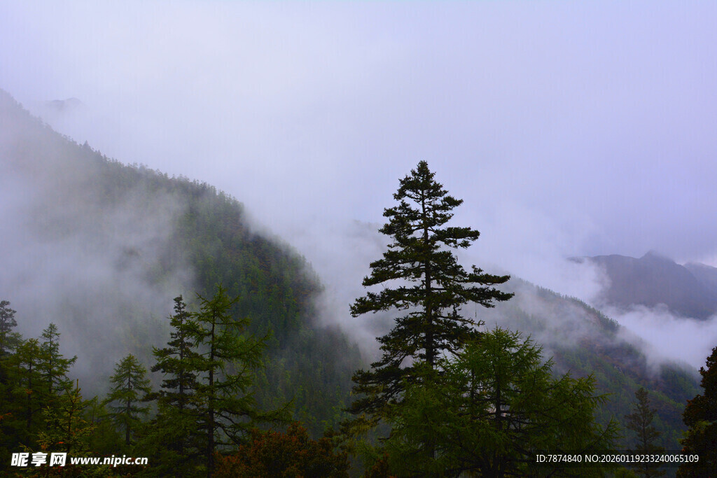 云雾缭绕中的山林景致 稻城