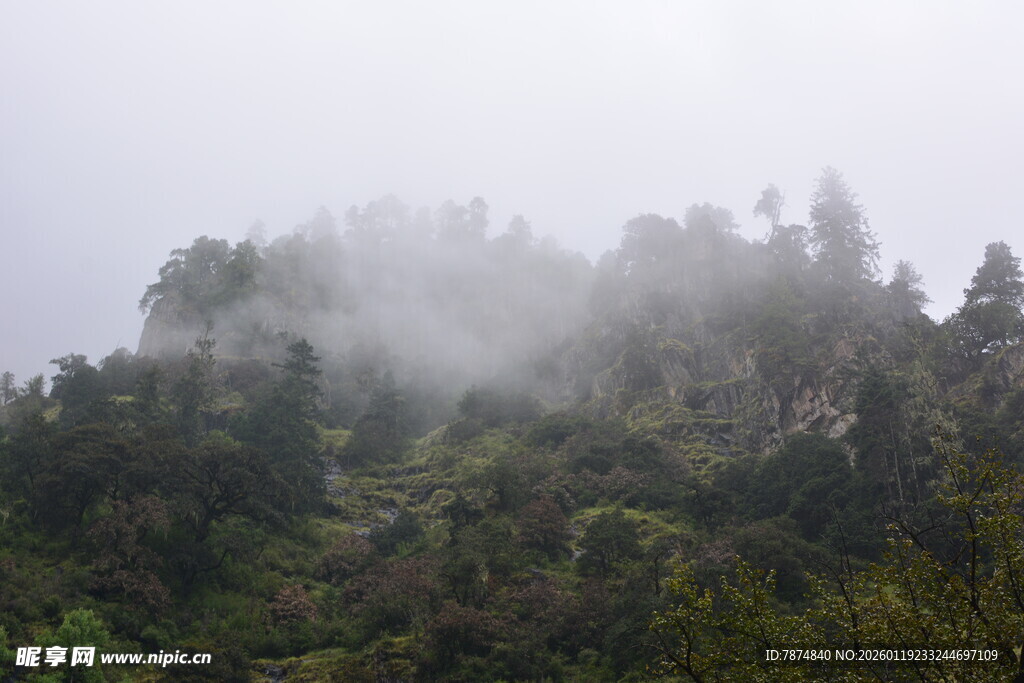 云雾缭绕的山林美景 稻城