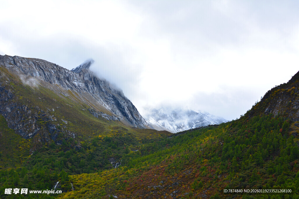 山间云雾缭绕的秀丽景致 稻城