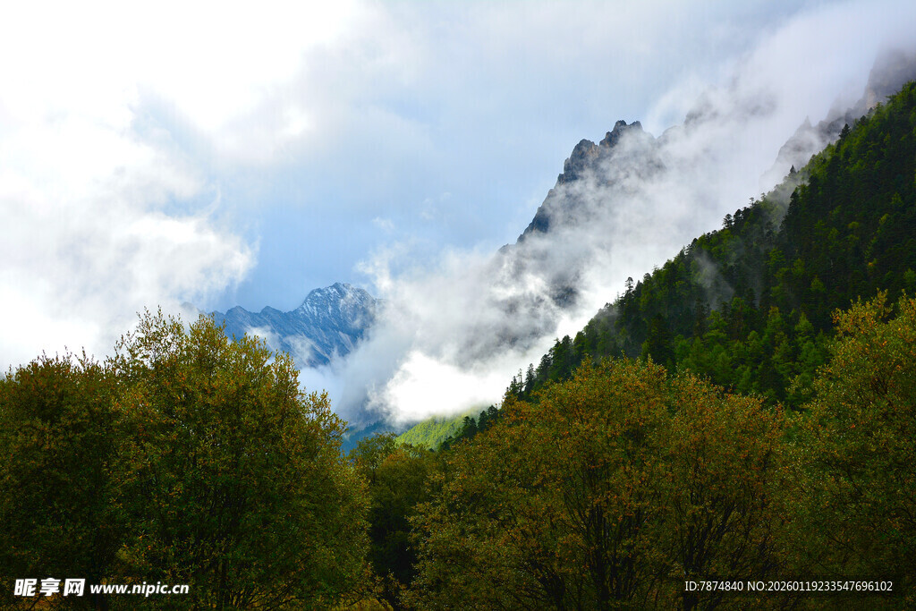 山间云雾缭绕的秀丽景致 稻城