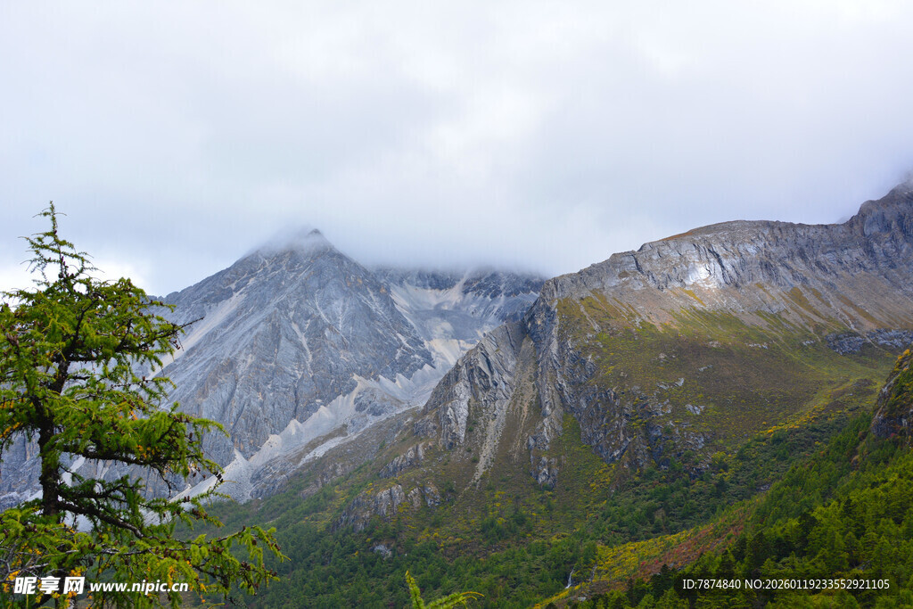 山间绿树与云雾缭绕山峰 稻城
