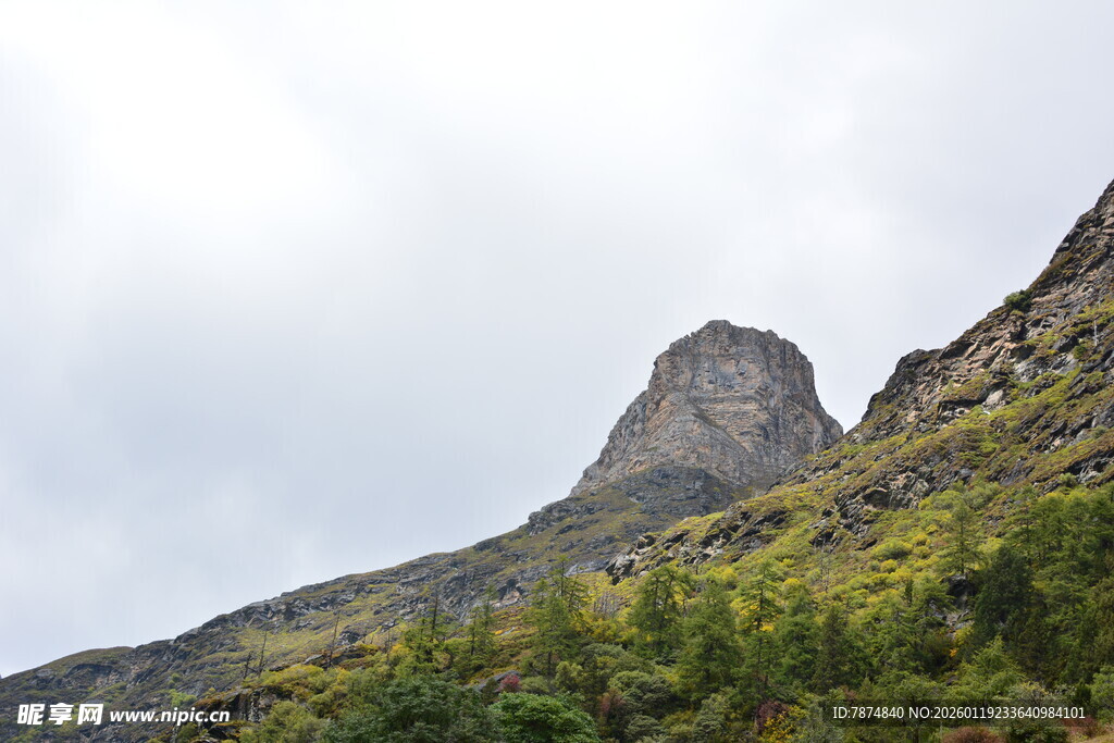 巍峨山峰与葱郁植被 稻城