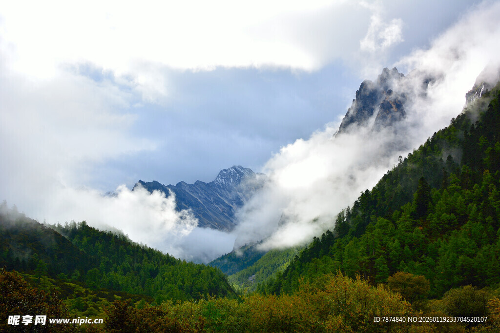 云雾缭绕的山间美景 稻城