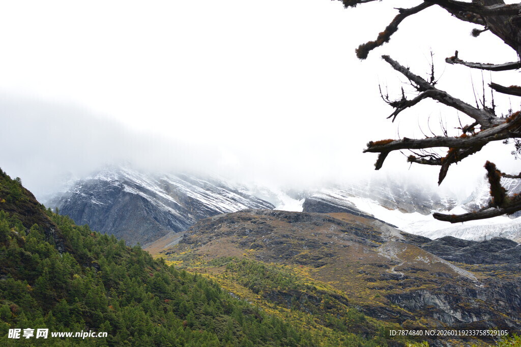 山间雪岭景色 稻城