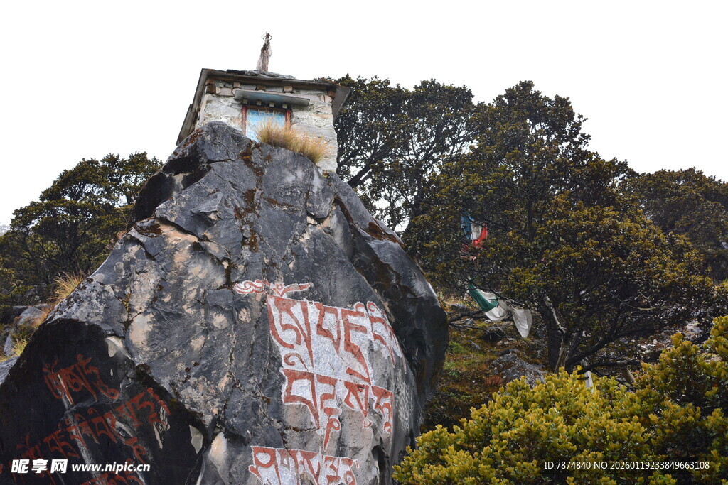 涂鸦覆盖的建筑物一角 稻城