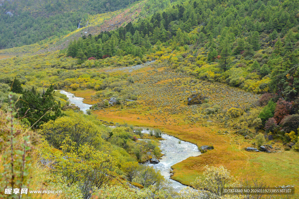 山间蜿蜒溪流的秋日美景 稻城