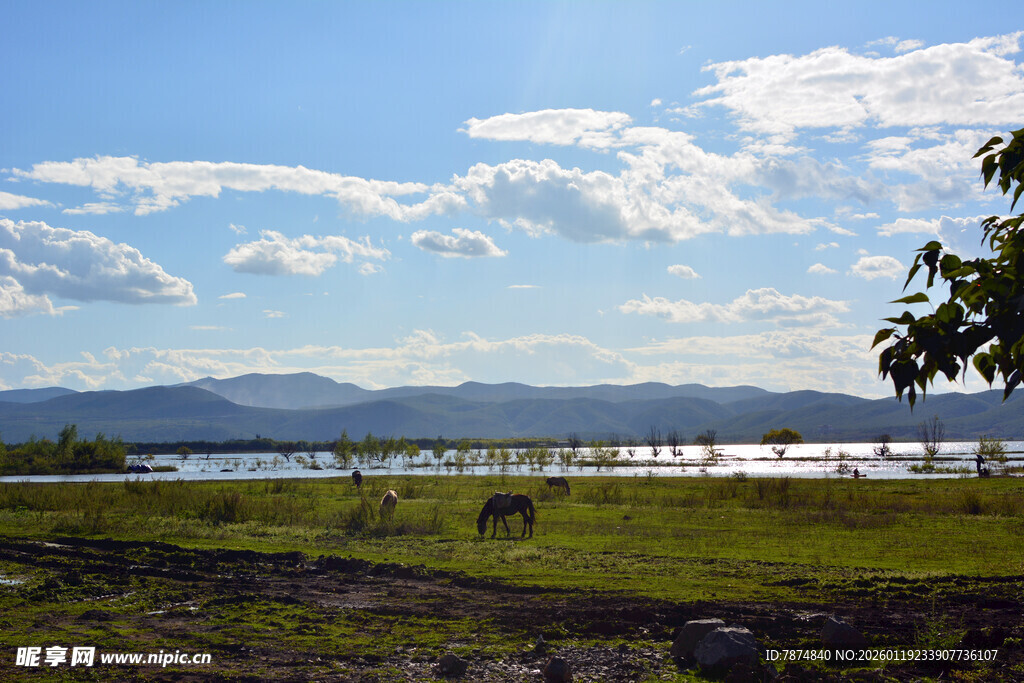 草原湖畔风光 稻城