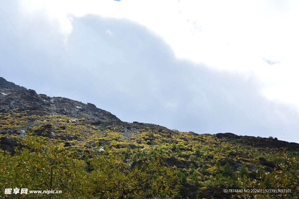 山间绿意盎然的自然景致 稻城