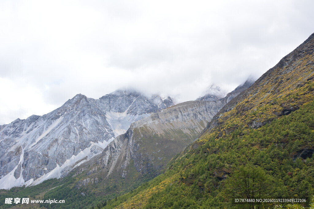 山间云雾缭绕的壮丽景色 稻城