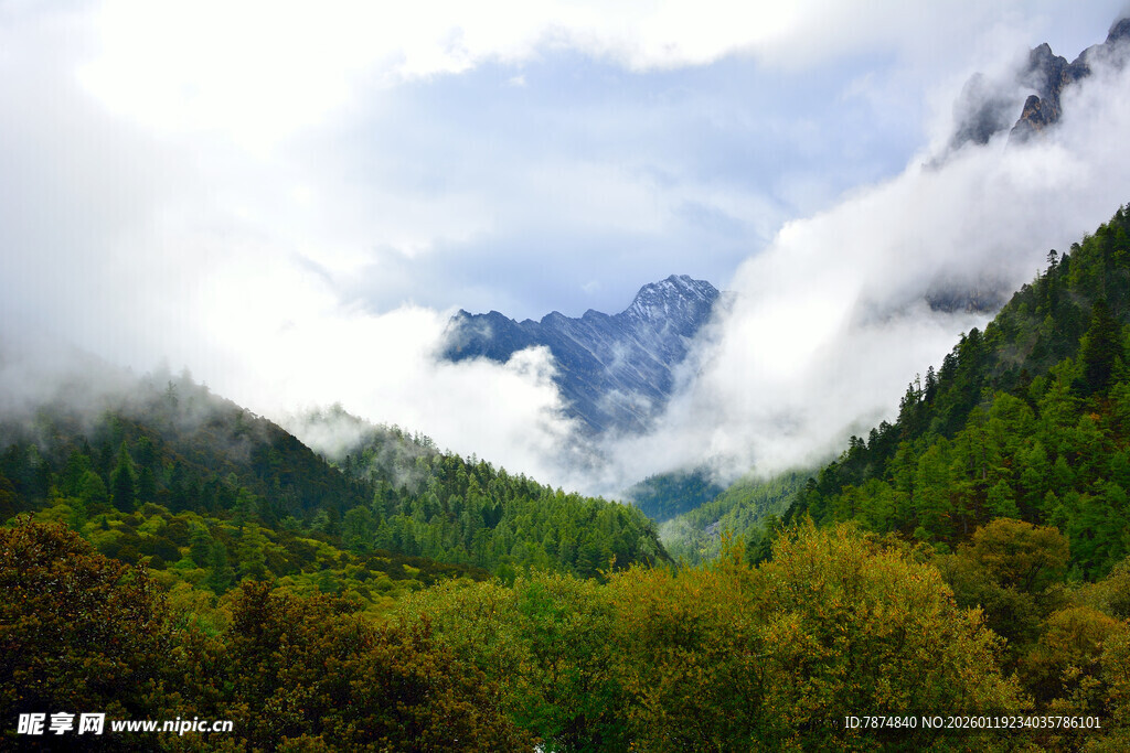 云雾缭绕的山林美景 稻城