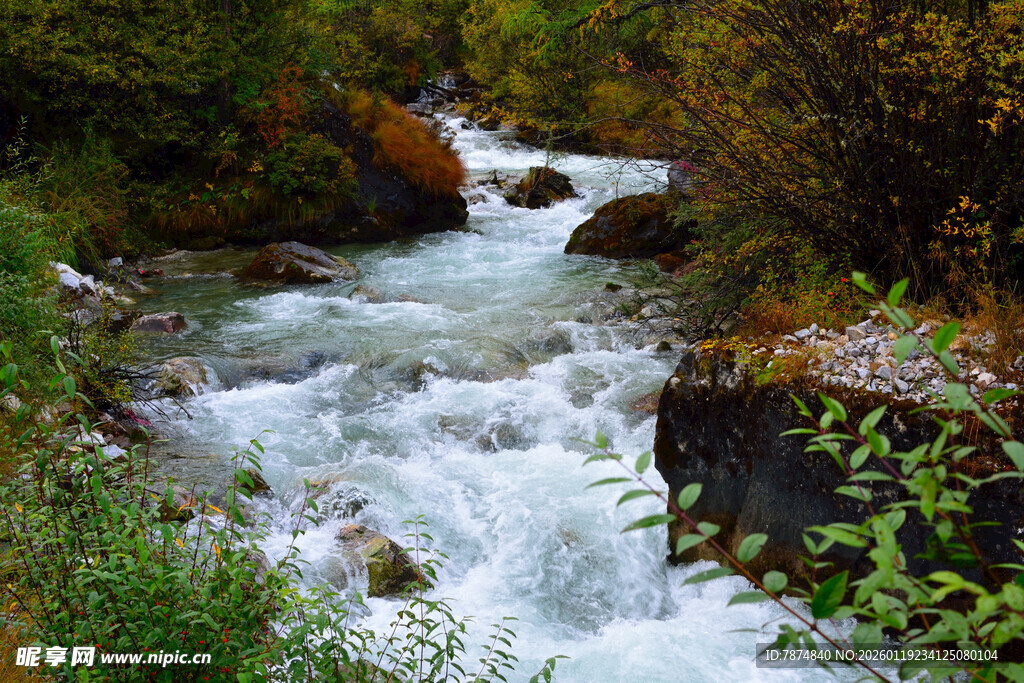 山间流淌的湍急清澈溪流