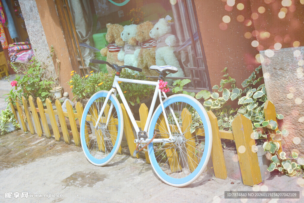 街边复古风自行车与绿植 稻城