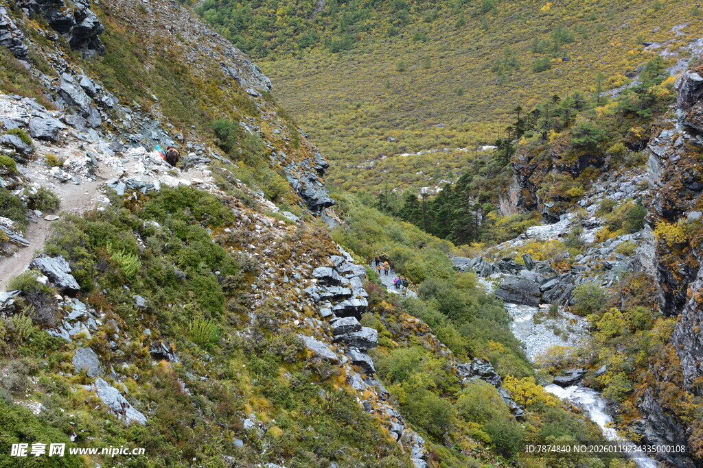 山间崎岖小径与葱郁植被 稻城